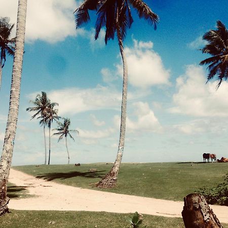 Dorian Guest House And Restaurant Weligama Exterior foto